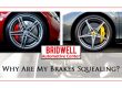 Why are my brakes squealing?